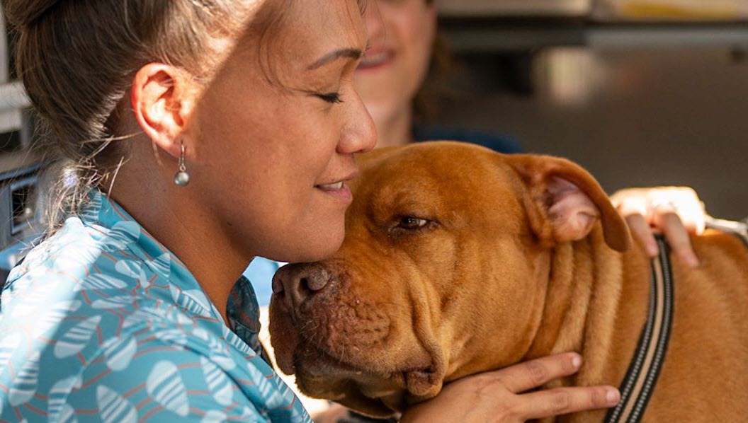 A brown dog being hugged by a young woman
