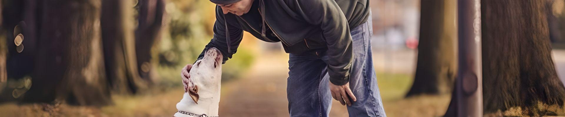 A man bending down to pet his dog in a park