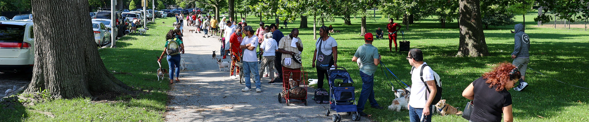 People out in public with their pets on a sunny day