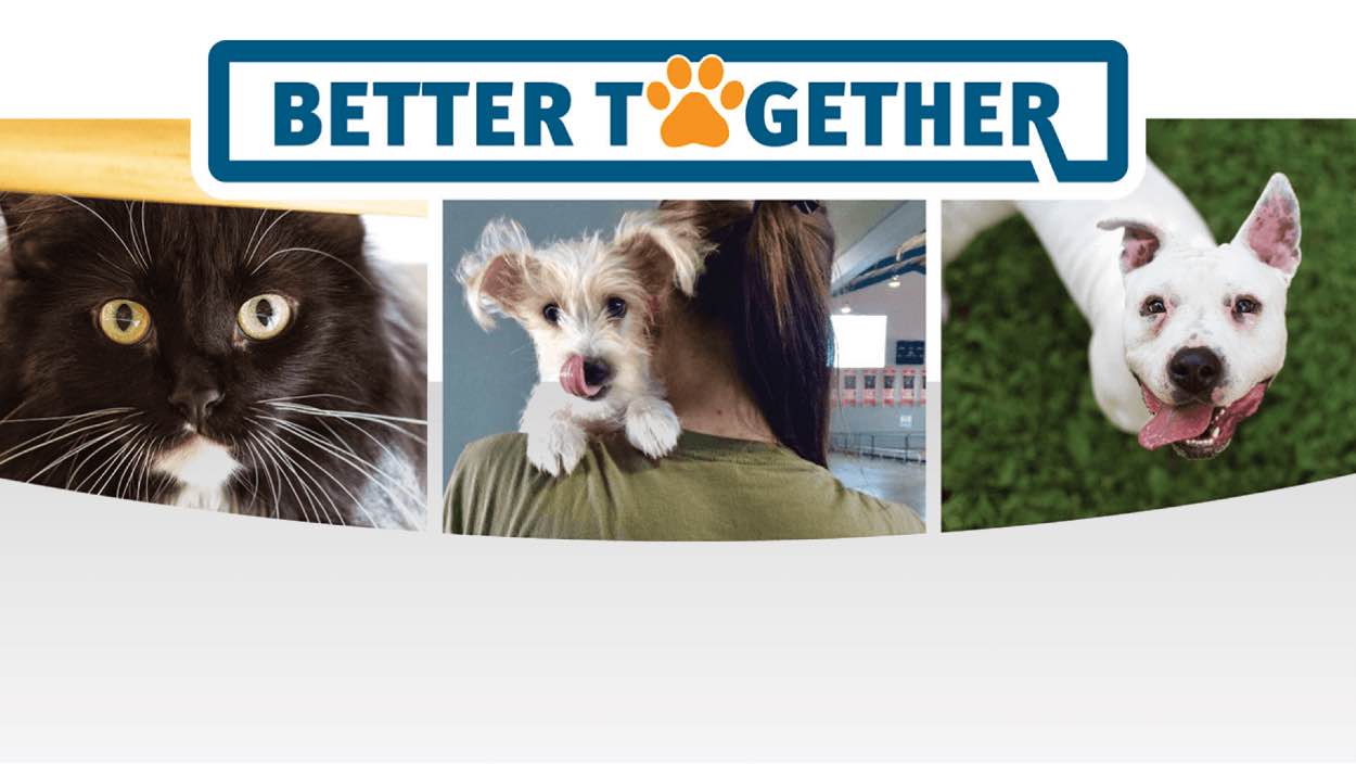 Better Together