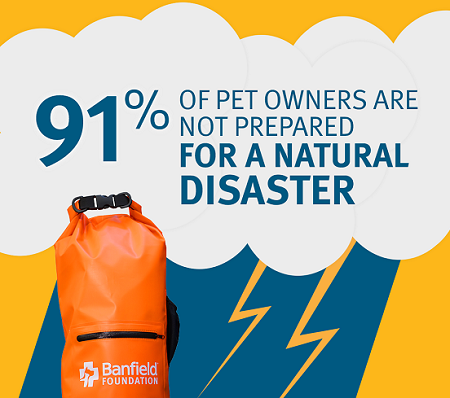 Prepkit that says info on natural disaster