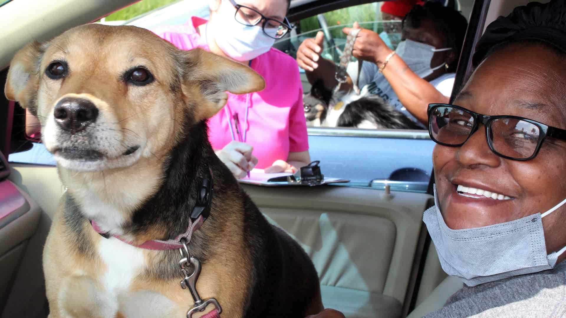 Dog with lady in car
