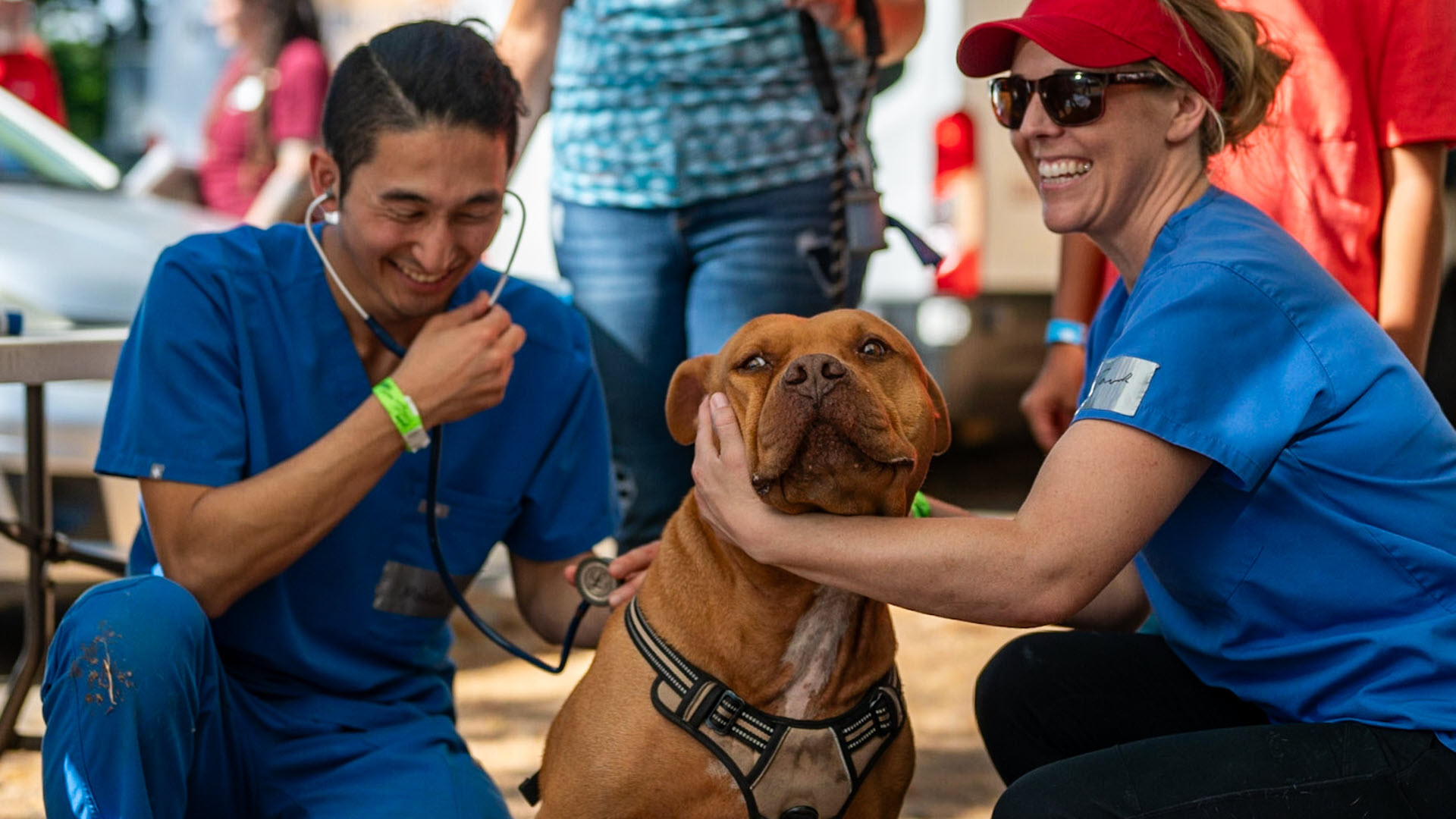 Happy staff members surrounding a Pitbull