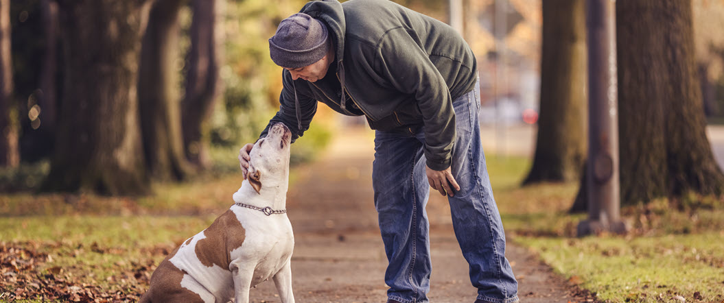 An owner petting his dog in the woods