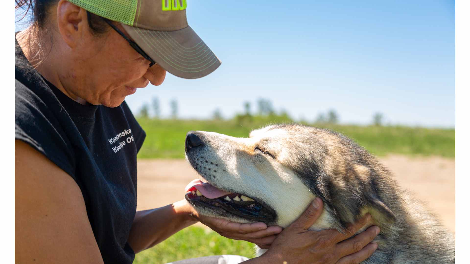 a dog looking up at their person